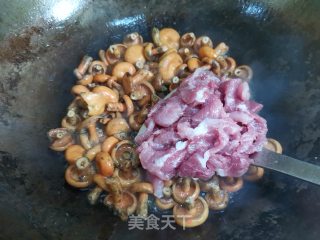 寒菌炖肉的做法步骤：6