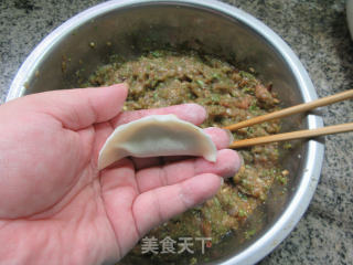 香菇豇豆鸡腿肉馅锅贴的做法步骤：15