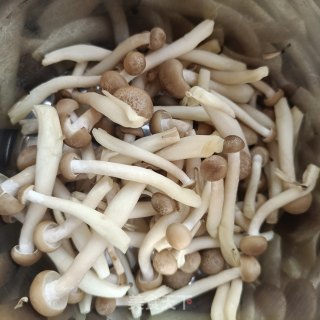 蟹味菇炒豆腐的做法步骤：4