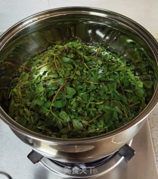 蒜蓉马齿苋的做法步骤：4
