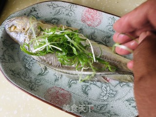 清蒸黄鱼的做法步骤：5