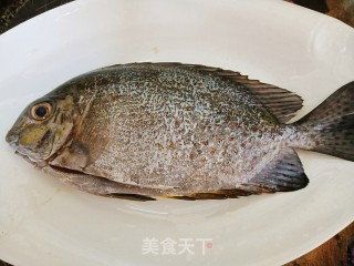 清蒸‘立’鱼的做法步骤：1