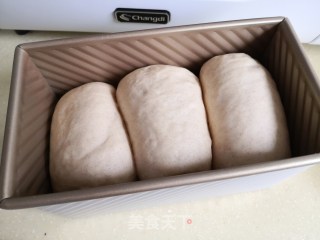 荞麦吐司的做法步骤：6