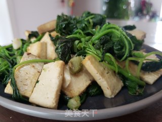 苋菜炒豆腐的做法步骤：7