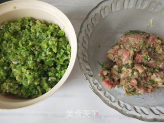 豆角猪肉馅饺子的做法步骤：5