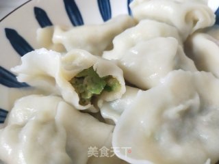豆角猪肉馅饺子的做法步骤：12