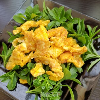煎蛋拌养心菜的做法步骤：13
