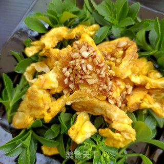 煎蛋拌养心菜的做法步骤：15