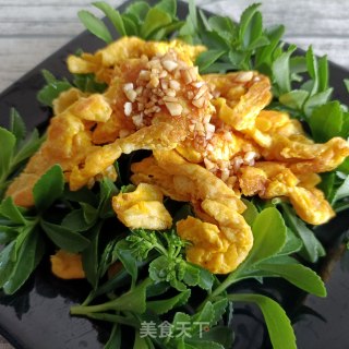 煎蛋拌养心菜的做法步骤：16