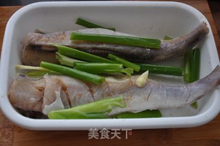 韩式辣烤明太鱼的做法步骤：4