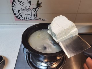 鲫鱼豆腐煲的做法步骤：8
