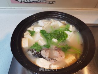 鲫鱼豆腐煲的做法步骤：12