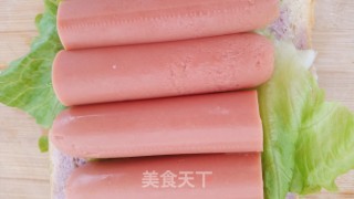 鸡蛋火腿三明治的做法步骤：9