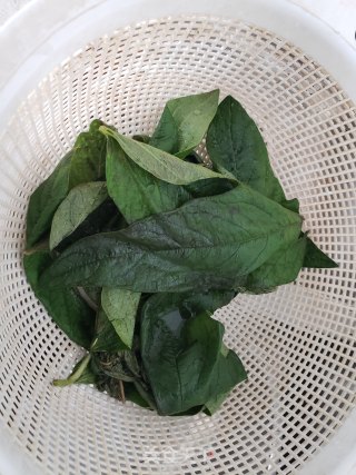 芝麻叶汤面条的做法步骤：10