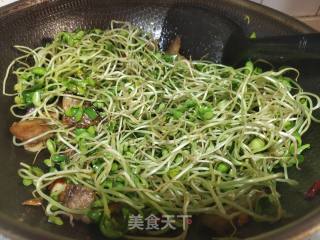 五花肉炒黑豆芽的做法步骤：5