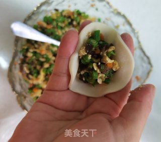 豆角鸡蛋素馅饺子的做法步骤：14