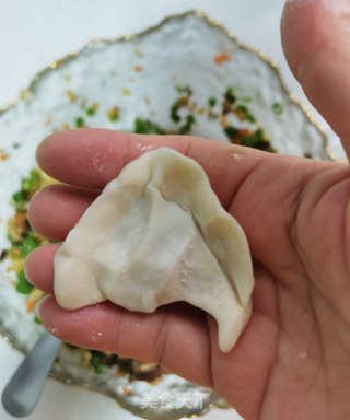豆角鸡蛋素馅饺子的做法步骤：15