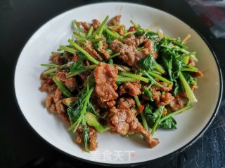 香菜炒牛肉的做法步骤：8