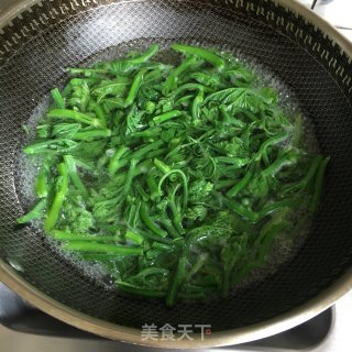 拌南瓜尖的做法步骤：2