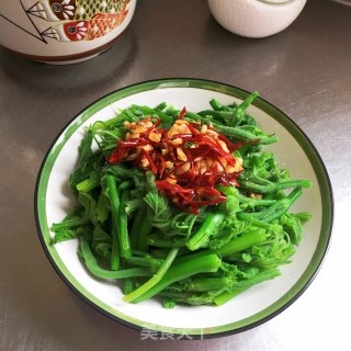 拌南瓜尖的做法步骤：8