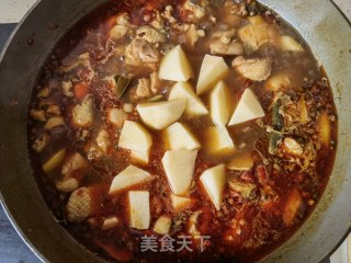 芥兰土豆炖柴鸡的做法步骤：14