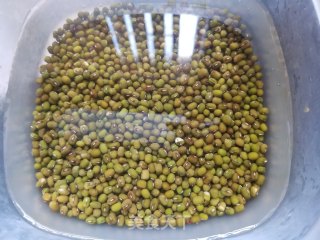 绿豆土茯苓鸽子汤的做法步骤：3