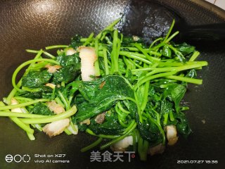 五花肉炒红薯叶的做法步骤：7