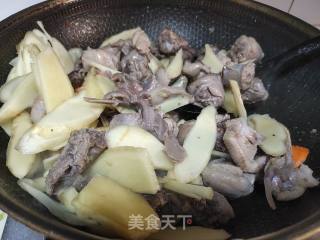 嫩姜红烧鸭的做法步骤：4
