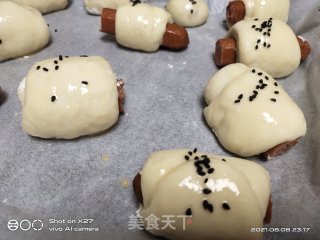 迷你火腿肠面包的做法步骤：8