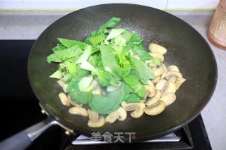 口蘑炒油菜的做法步骤：4