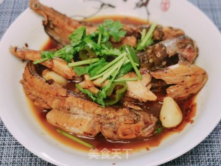 酱炖海鲶鱼的做法步骤：9
