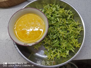 夜来香煎蛋的做法步骤：1