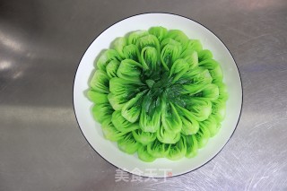 白灼干贝油菜的做法步骤：5