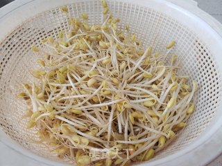清炒黄豆芽的做法步骤：2