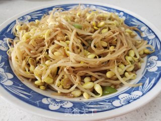 清炒黄豆芽的做法步骤：4