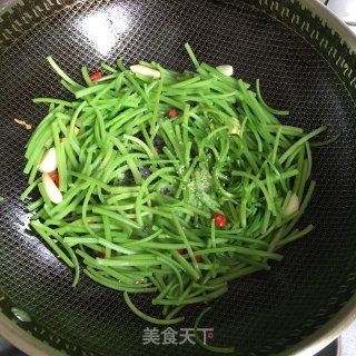 蒜炒红薯梗的做法步骤：4