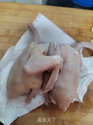酱油鸽子的做法步骤：4