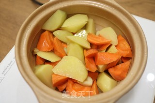 浓香入味的胡萝卜土豆焖鸭肉的做法步骤：10