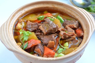 浓香入味的胡萝卜土豆焖鸭肉的做法步骤：17