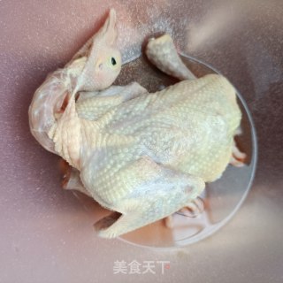 陈皮绿豆鸽子汤的做法步骤：1