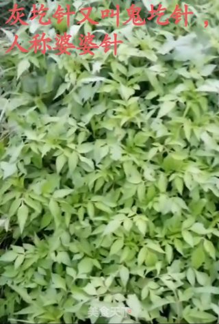 蒸灰圪针的做法步骤：1