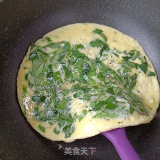 土人参煎蛋的做法步骤：9