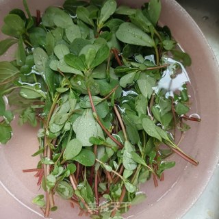 鸽胸肉拌马齿苋的做法步骤：1