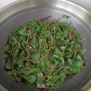 鸽胸肉拌马齿苋的做法步骤：4