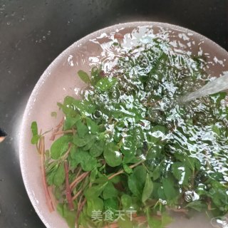 鸽胸肉拌马齿苋的做法步骤：5