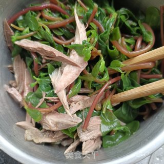 鸽胸肉拌马齿苋的做法步骤：8