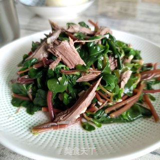 鸽胸肉拌马齿苋的做法步骤：15