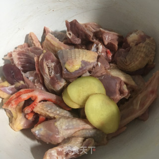 金钱莲煲鸽子的做法步骤：1