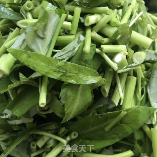 茶油炒空心菜的做法步骤：3