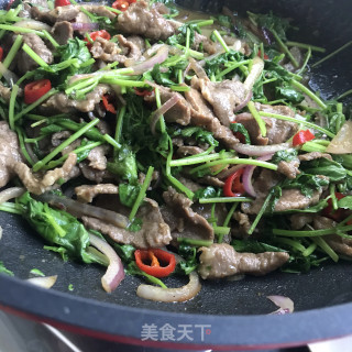 香菜炒牛里脊的做法步骤：9